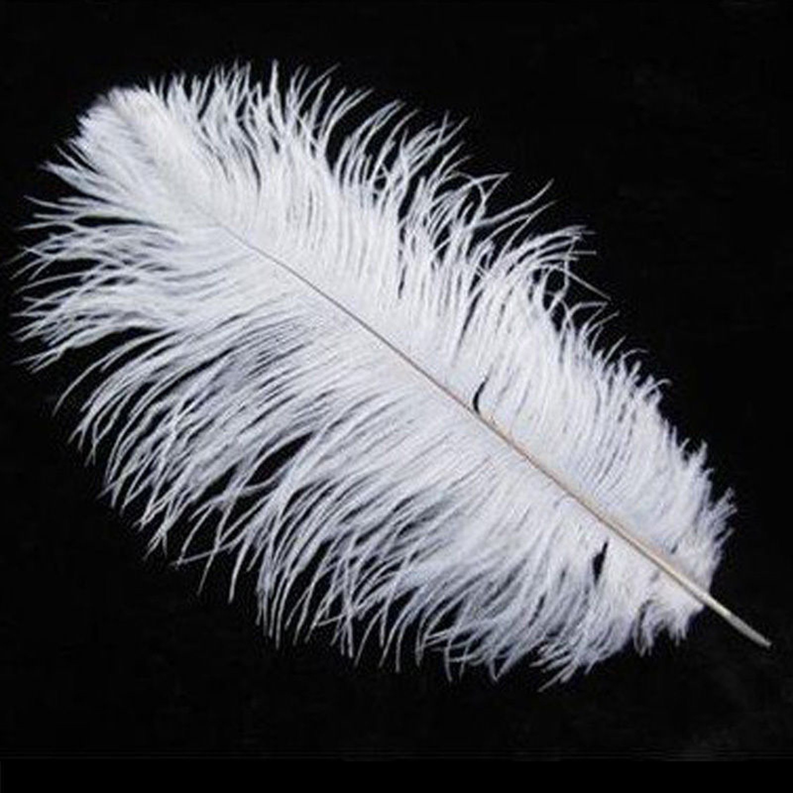 7211b25a68c453bd1b82144e902b8574_af-fa-20_02-a